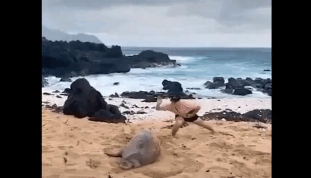 출처=hungryhungryhawaiian 인스타그램