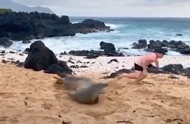 출처=hungryhungryhawaiian 인스타그램