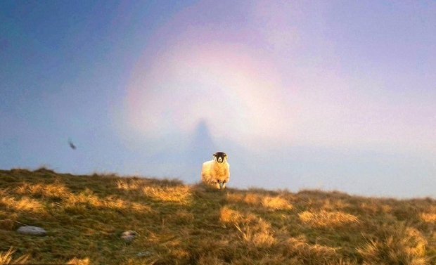 영국의 사진작가 리 하우들이 찍은 ‘브로켄의 요괴’ 현상