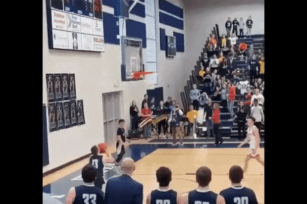 출처=매케나 리스 트위터