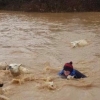 홍수로 떠내려가는 양 구하려 몸 던진 英 20대 여성 (영상)