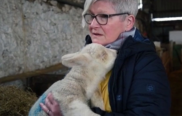 사진=노스웨일스라이브