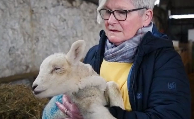 사진=노스웨일스라이브