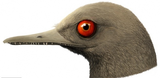 호박에 갇힌 두개골 화석을 토대로 재현한 세계서 가장 작은 공룡의 머리