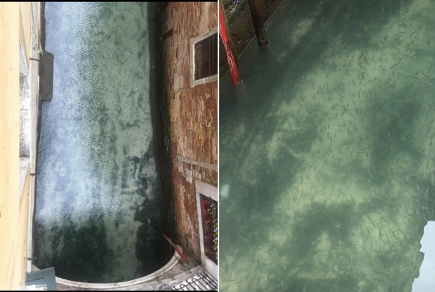 과거와 달라진 베네치아 운하의 모습