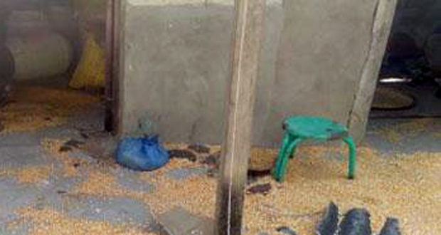 사진=멍하이현선전부