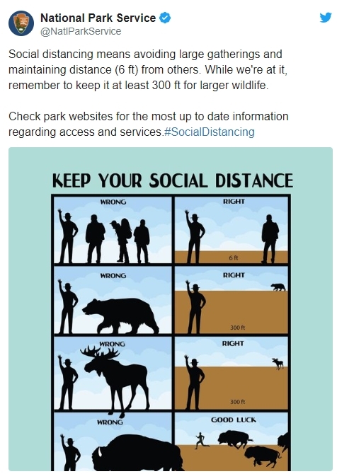 옐로스톤국립공원이 ‘응답’한 사진
