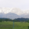 코로나로 활동 멈추니…인도서 30년 만에 히말라야가 보이네