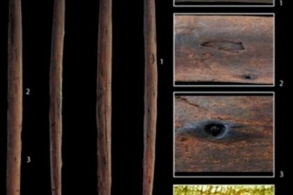 [와우! 과학] 30만 년 전 인류가 동물 사냥에 쓴 ‘투척용 무기’ 발견