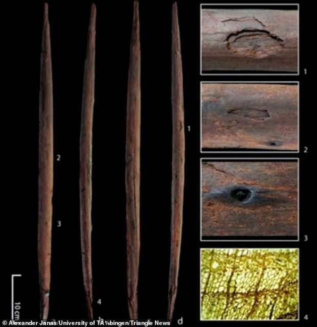 독일 쇠닝엔 광산에서 발견된 30만 년 된 던지기용 막대(사진=알렉산더 자나스/튀빙겐대)