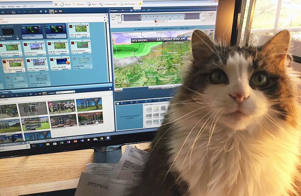 사진=제프 라이온스 페이스북