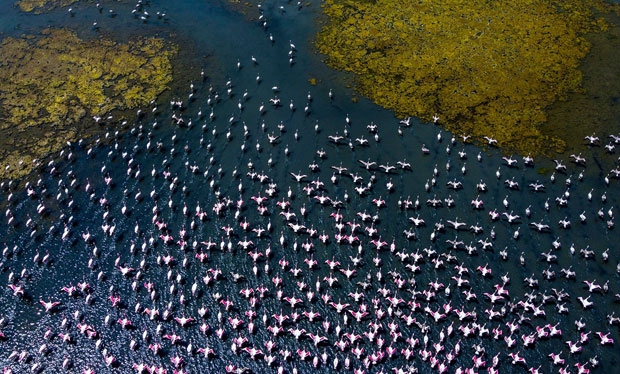 사진=힌두스탄타임스 캡쳐(프라틱 코르제)