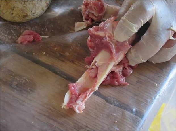 그 결과, 울퉁불퉁한 둥근 형태의 석기는 자연석보다 손에 쥐기 쉽고 군데군데 튀어나온 부분이 뼈를 으깨는 데 편리해 깔끔하게 골수를 꺼낼 수 있는 것으로 나타났다.(사진=엘라 아시프 등/PLOS ONE)