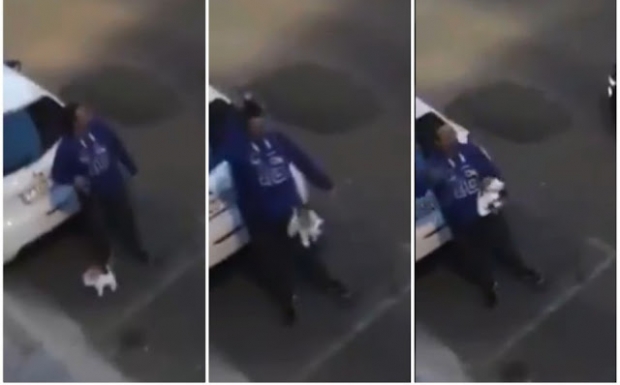 장난감 개를 들고 산책하겠다며 외출한 남성(사진=스페인 경찰노동조합/트위터)