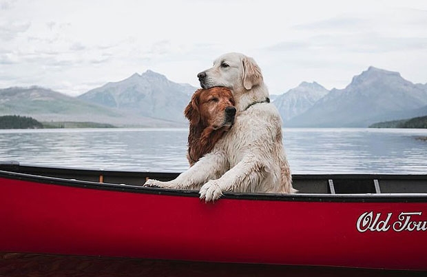 사진=제니퍼 메드라노 인스타그램