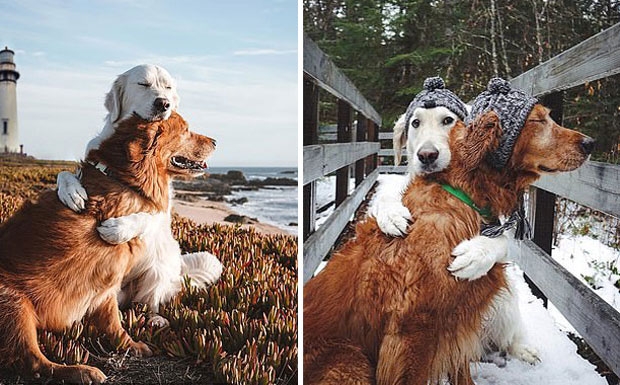 사진=제니퍼 메드라노 인스타그램