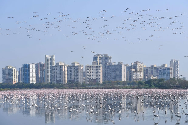 사진=AFP 연합뉴스