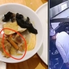 [여기는 중국] 손님 음식 불평에 화난 요리사…요리에 침 뱉고 담배꽁초까지