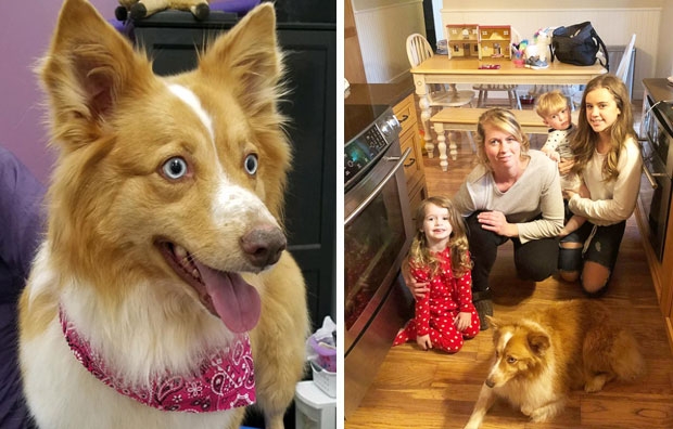 사진=에릭 존슨 페이스북