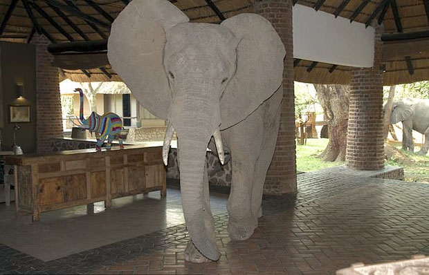 사진=아프리카 잠비아 음푸웨롯지