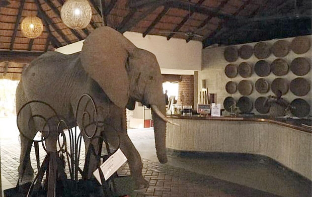 사진=아프리카 잠비아 음푸웨롯지