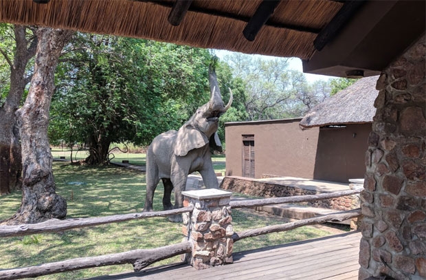 사진=아프리카 잠비아 음푸웨롯지