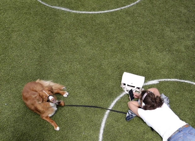 뉴욕 도미노 공원에서 반려견과 함께 휴식을 취하고 있는 시민. 사진=UPI 연합뉴스