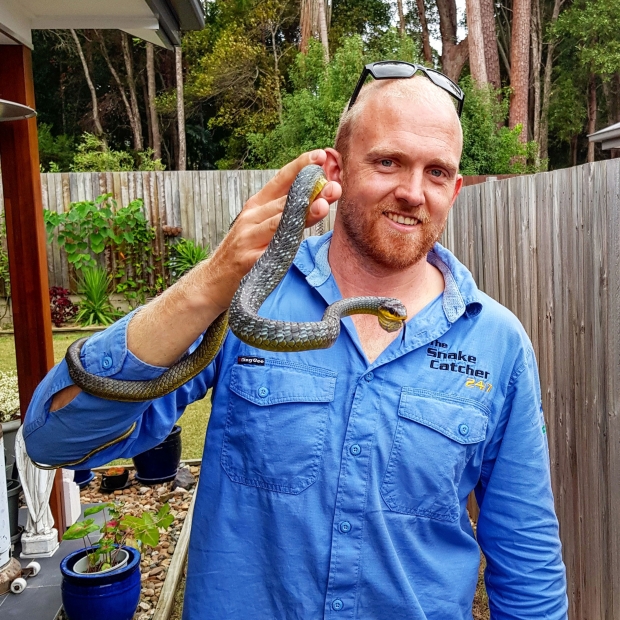 뱀 포획 전문가 스튜어트 매켄지