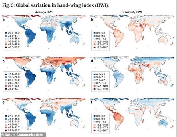연구진은 새들의 날개 모양이 지리적인 요인에 따라 다르다는 것을 발견했다.(사진=네이처 커뮤니케이션스)