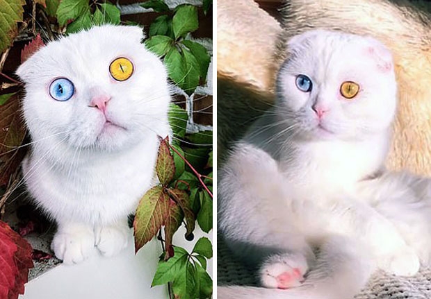 사진=who_is__joseph 인스타그램