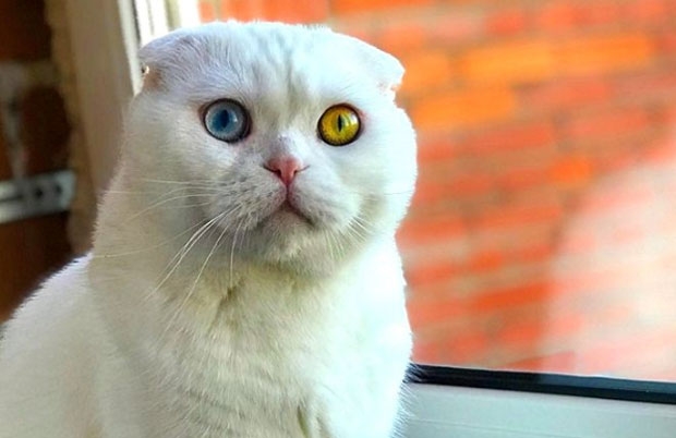 사진=who_is__joseph 인스타그램