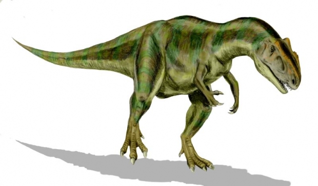 알로사우루스 복원도(사진=Nobu Tamura (http://spinops.blogspot.com) / CC BY-SA)