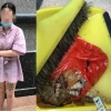 [여기는 중국] “내려가기 귀찮아!”…아파트 15층서 쓰레기 던진 여성