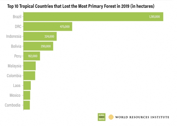 국가별 열대우림 소실 수준(사진=WRI)