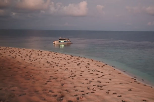 사진=바이오픽셀 해양재단