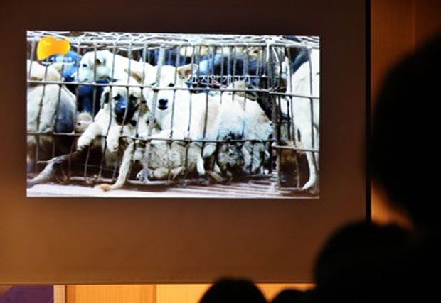 연합뉴스 자료사진