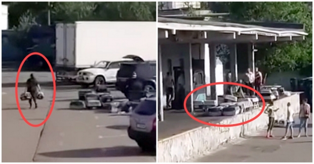 우크라이나 공항에서 여객기 화물칸으로 개를 옮기는 공항 또는 항공사 관계자들