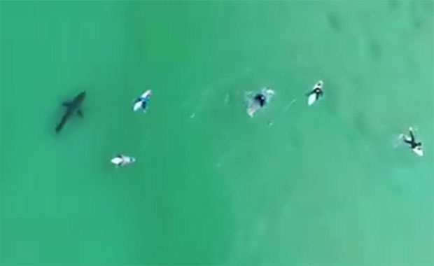 사진=남아공 국립해양구조대(NSRI) 페이스북