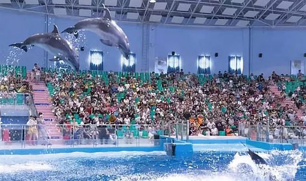 사진=루오위안완씨월드