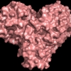 [와우! 과학] 이것이 코로나19의 심장? 코로나바이러스 프로테아제의 모습을 보다