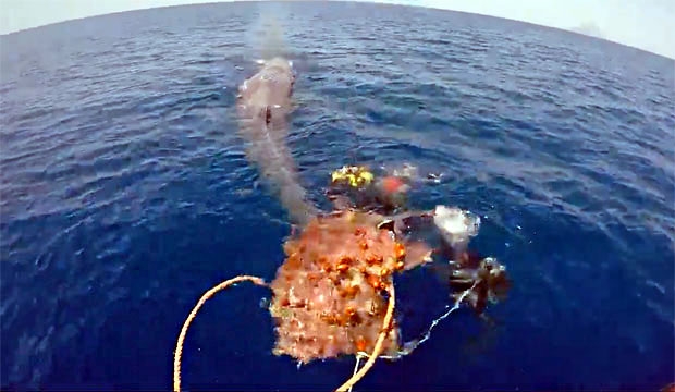 사진=이탈리아 해안경비대