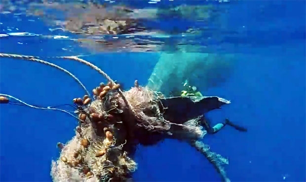 사진=이탈리아 해안경비대