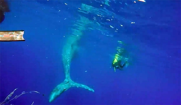 사진=이탈리아 해안경비대