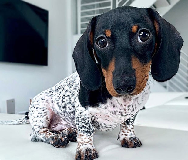 사진=인스타그램