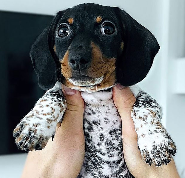 사진=인스타그램