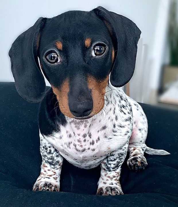 사진=인스타그램