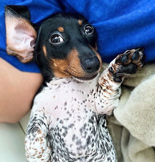 사진=인스타그램