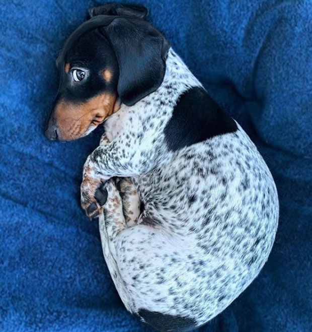 사진=인스타그램