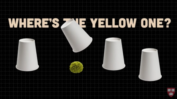 셸 게임은 먼저 준비해둔 색상이 다른 털실방울인 폼폼의 위치를 기억하게 하고 그 위에 컵을 덮어 보이지 않는 상태에서 섞기를 한다. 참가자는 어느 색의 폼폼이 어느 위치로 이동했는지를 기억해야 한다.(사진=하버드대)