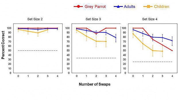 세로축은 적중률, 가로축은 섞기 횟수(0~4회), 상단 세트 크기는 방울 수(2~4개)을 말한다.(사진=사이언티픽 리포츠)